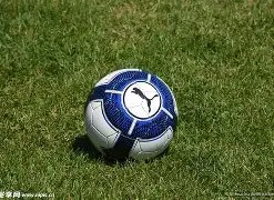 足球盛宴来,邵佳一担纲,国足主帅,乐鱼体育官网,LeYu,Sports,乐鱼体育中国官网,LeYu,Sports体育平台,乐鱼体育服务