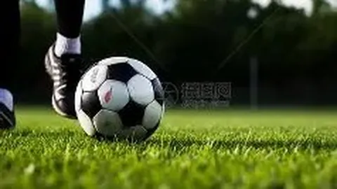 乐鱼体育 资讯 174009 p7r