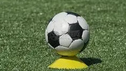 乐鱼体育 资讯 174055 dbe