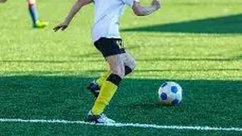 乐鱼体育 资讯 083746 qlg